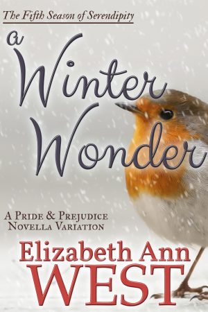 a winter wonder